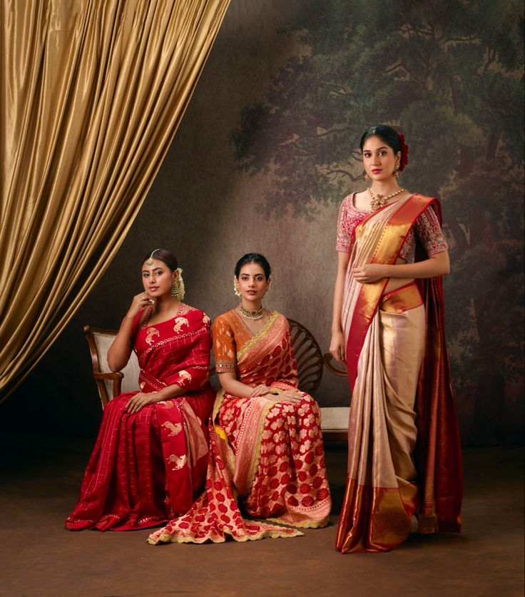 Indian traditional dress 3